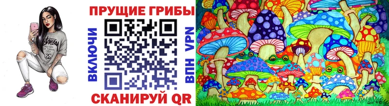 Галлюциногенные грибы Psilocybine cubensis цена Темрюк